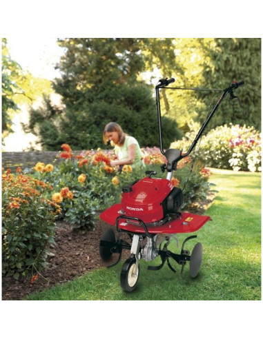 MOTOAZADA HONDA F 220