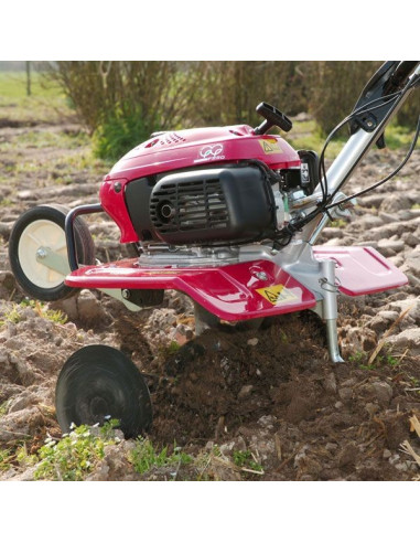 MOTOAZADA HONDA F 220