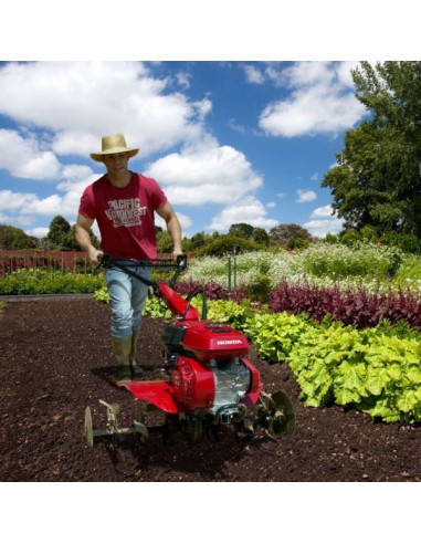 MOTOAZADA HONDA F 506