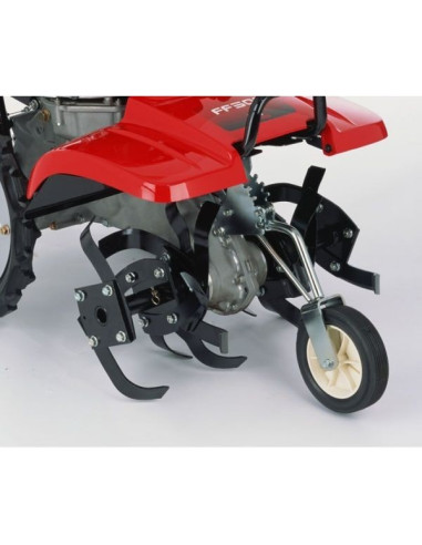 MOTOAZADA HONDA FF 500