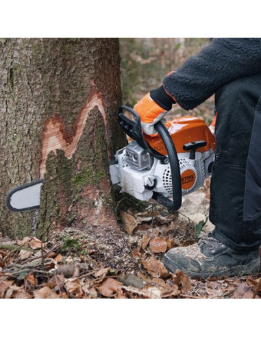 MS 271 C-BE trabajando Imagen II