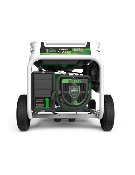 Generador Genergy gasolina y propano Natura 5500 E-Star 5500W 230V arranque eléctrico