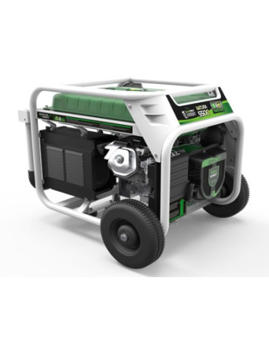 Generador Genergy gasolina y propano Natura 5500 E-Star 5500W 230V arranque eléctrico