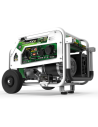 Generador Genergy gasolina y propano Natura 7000 E-Star 7000W 230V arranque eléctrico