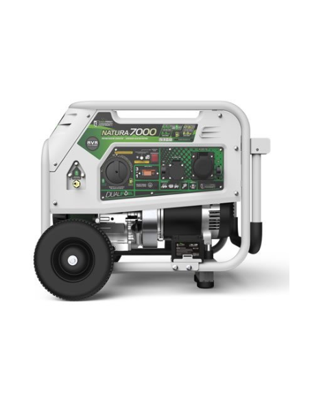 Generador Genergy gasolina y propano Natura 7000 E-Star 7000W 230V arranque eléctrico