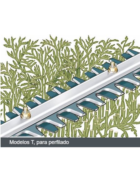 Cortasetos de Gasolina Stihl HS 82 T Perfilado 60 cm