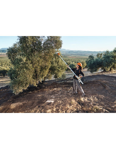 Vareador De Bateria SPA 140 Sin Bat Ni Carg con SC2 A Stihl