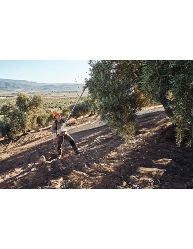 Vareador De Bateria SPA 130 Sin Bat Ni Carg con SC2 A Stihl