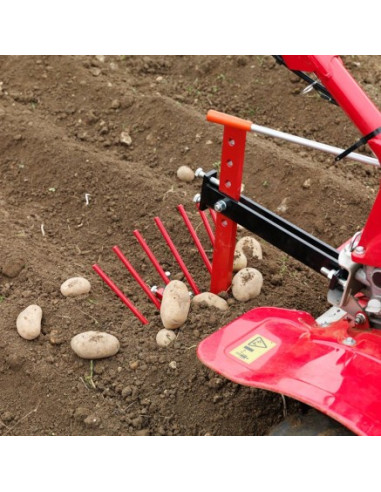 Arranca Patatas Nº1 Motoazada Honda