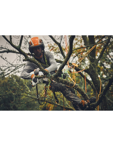 Motosierra STIHL GTA 40 con 2 baterías y cargador rápido | Campomar