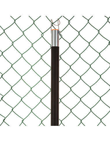 Mango Recoge Nueces Roll-in 2 Tramos | Campomar